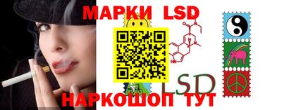 шишки Кимры