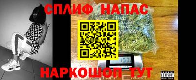 шишки Кимры