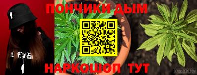 шишки Кимры