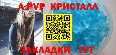 шишки Кимры