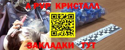 шишки Кимры